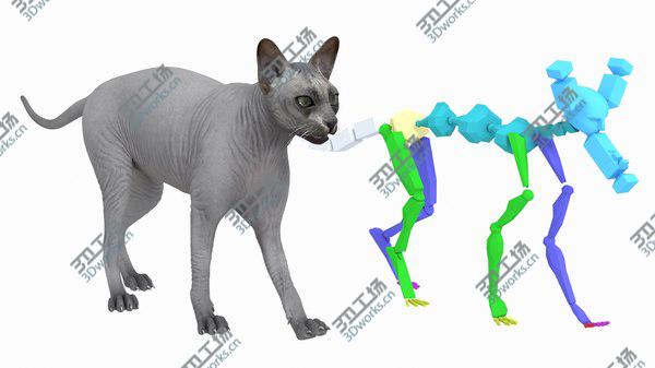 images/goods_img/20210312/Sphynx Cat Solid Color Black Rigged 3D/5.jpg